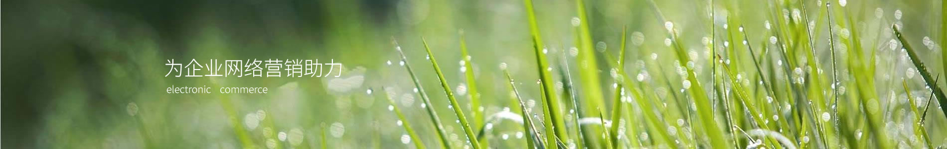 вʤӿƼ޹˾